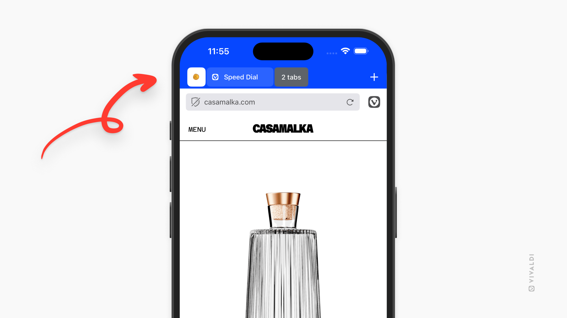Закреплённая вкладка в Vivaldi для iOS.